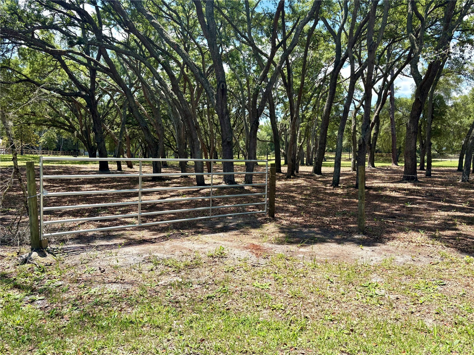 390 Foothill Farms Road Orange City FL 32763 V4949116 image2