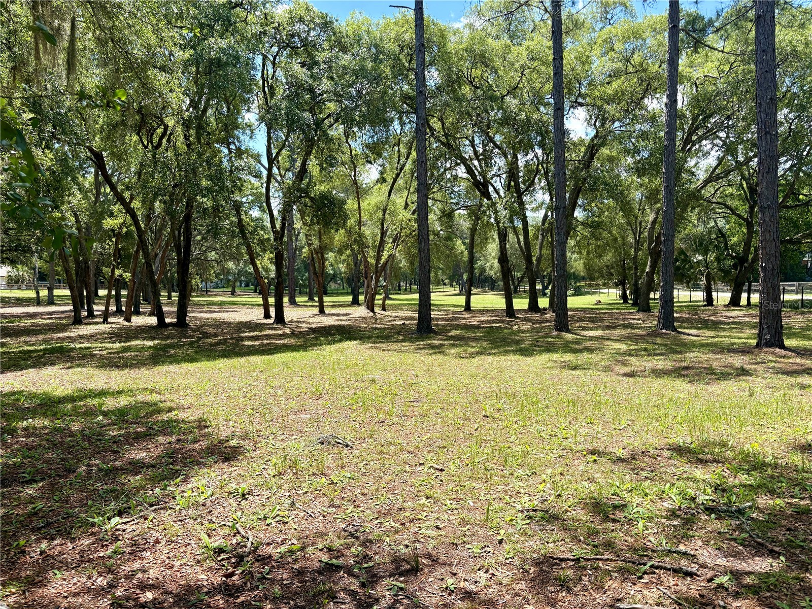 390 Foothill Farms Road Orange City FL 32763 V4949116 image4