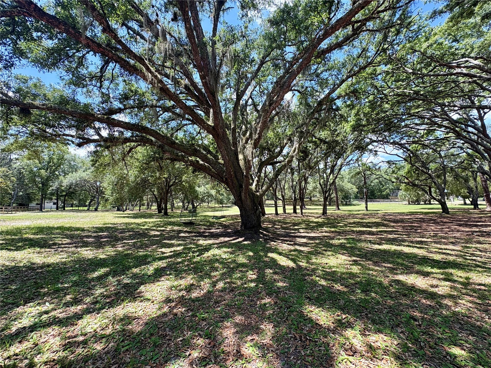 390 Foothill Farms Road Orange City FL 32763 V4949116 image5