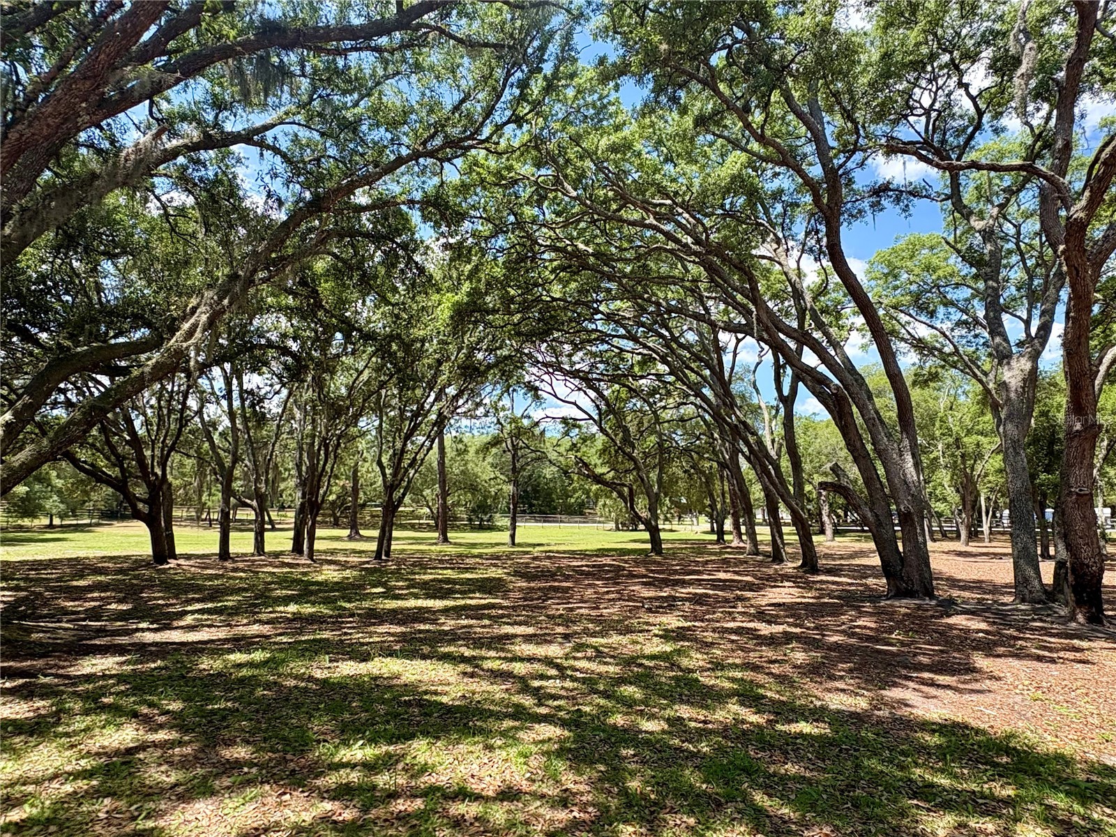 390 Foothill Farms Road Orange City FL 32763 V4949116 image6