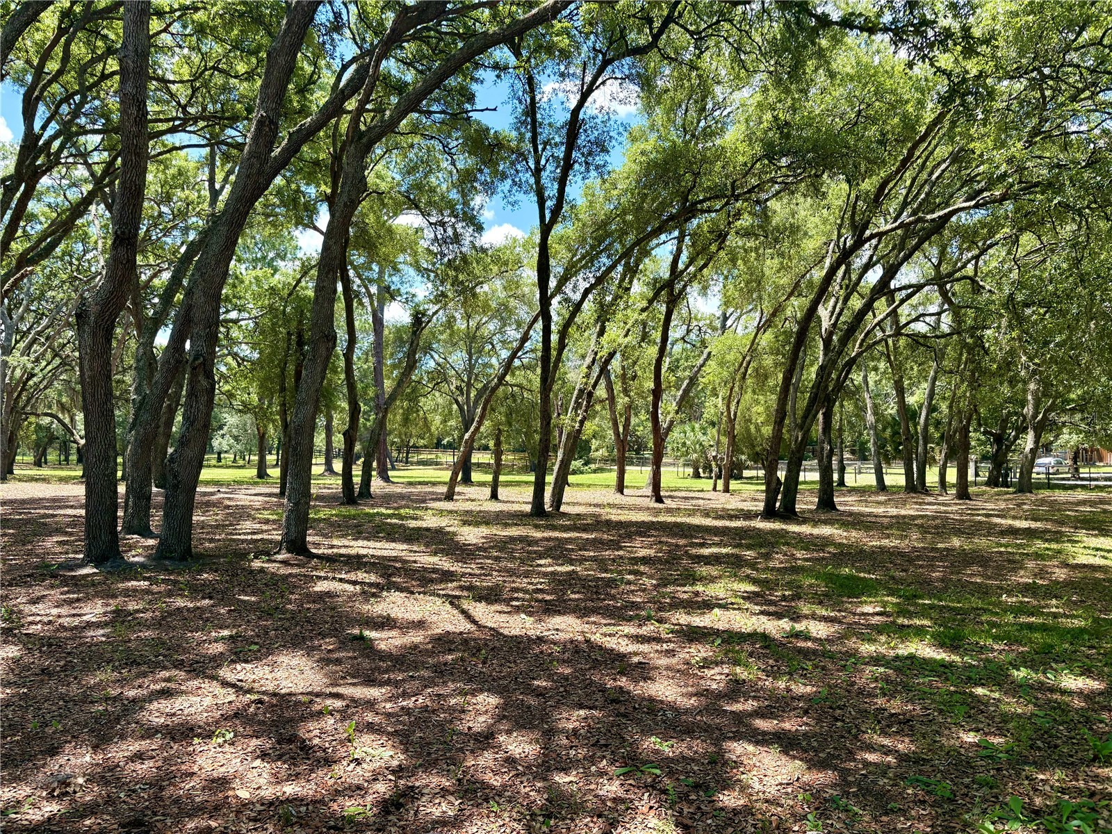 390 Foothill Farms Road Orange City FL 32763 V4949116 image8