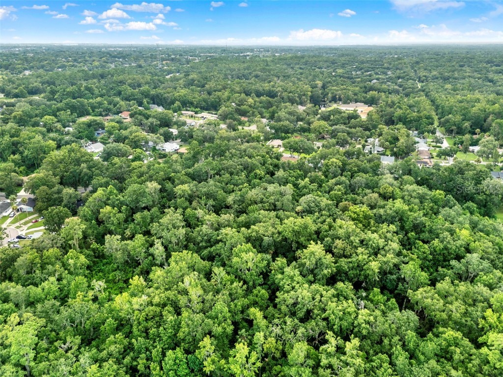 390 Lake Mccoy Drive Apopka FL 32712 O6324951 image10