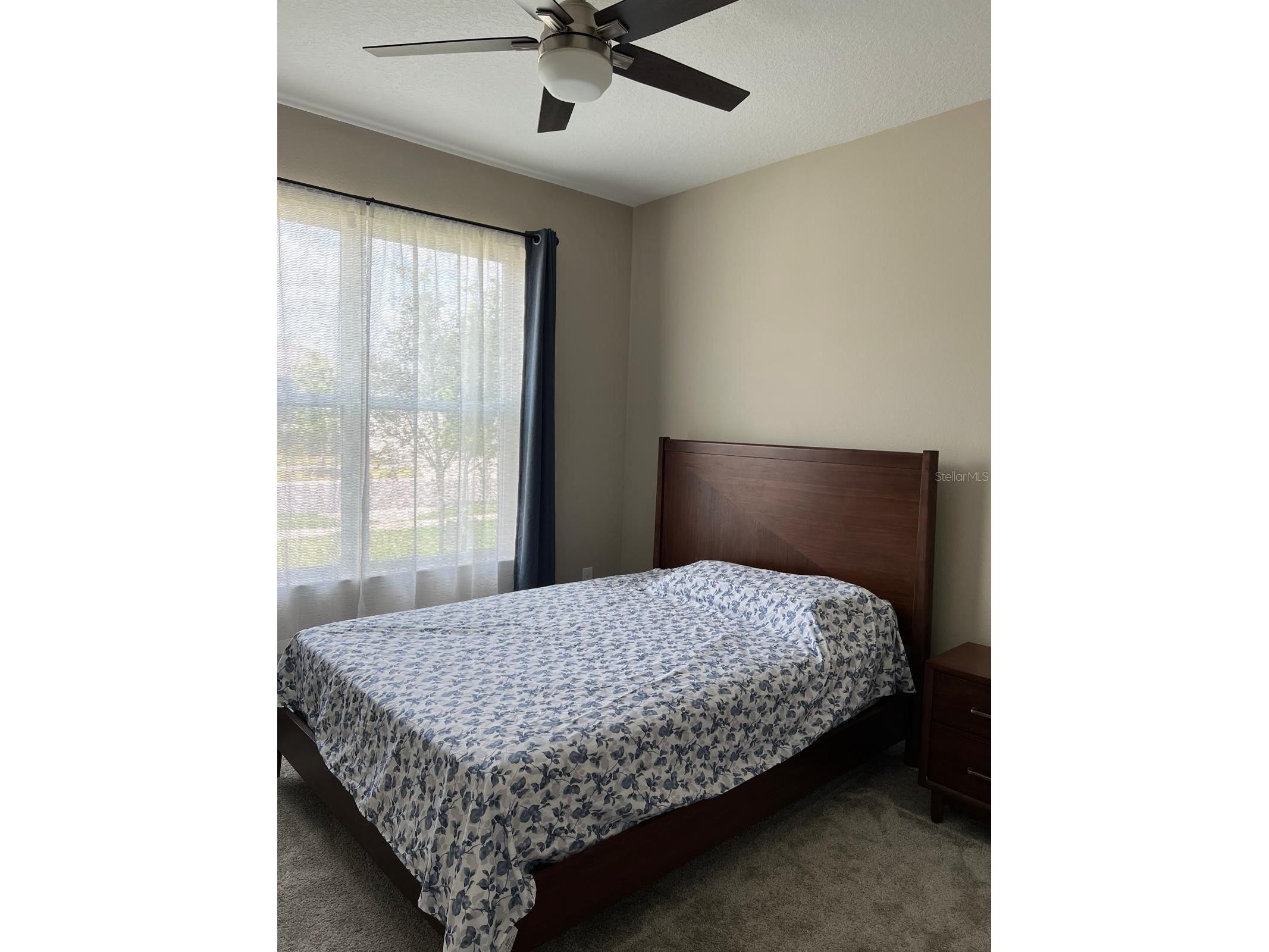 3900 Almond Brook Boulevard Land O Lakes FL 34638 TB8486439 image13
