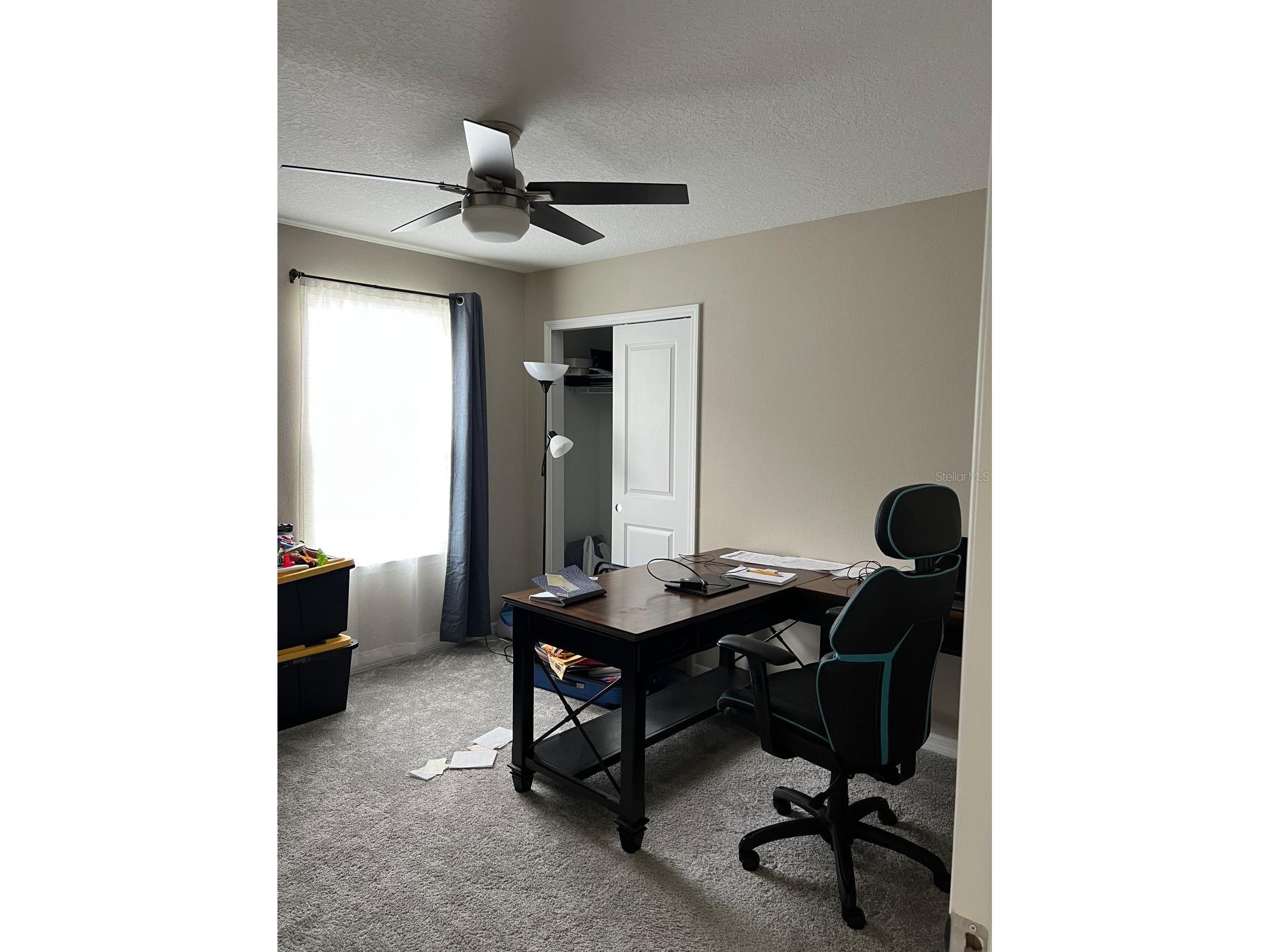 3900 Almond Brook Boulevard Land O Lakes FL 34638 TB8486439 image14