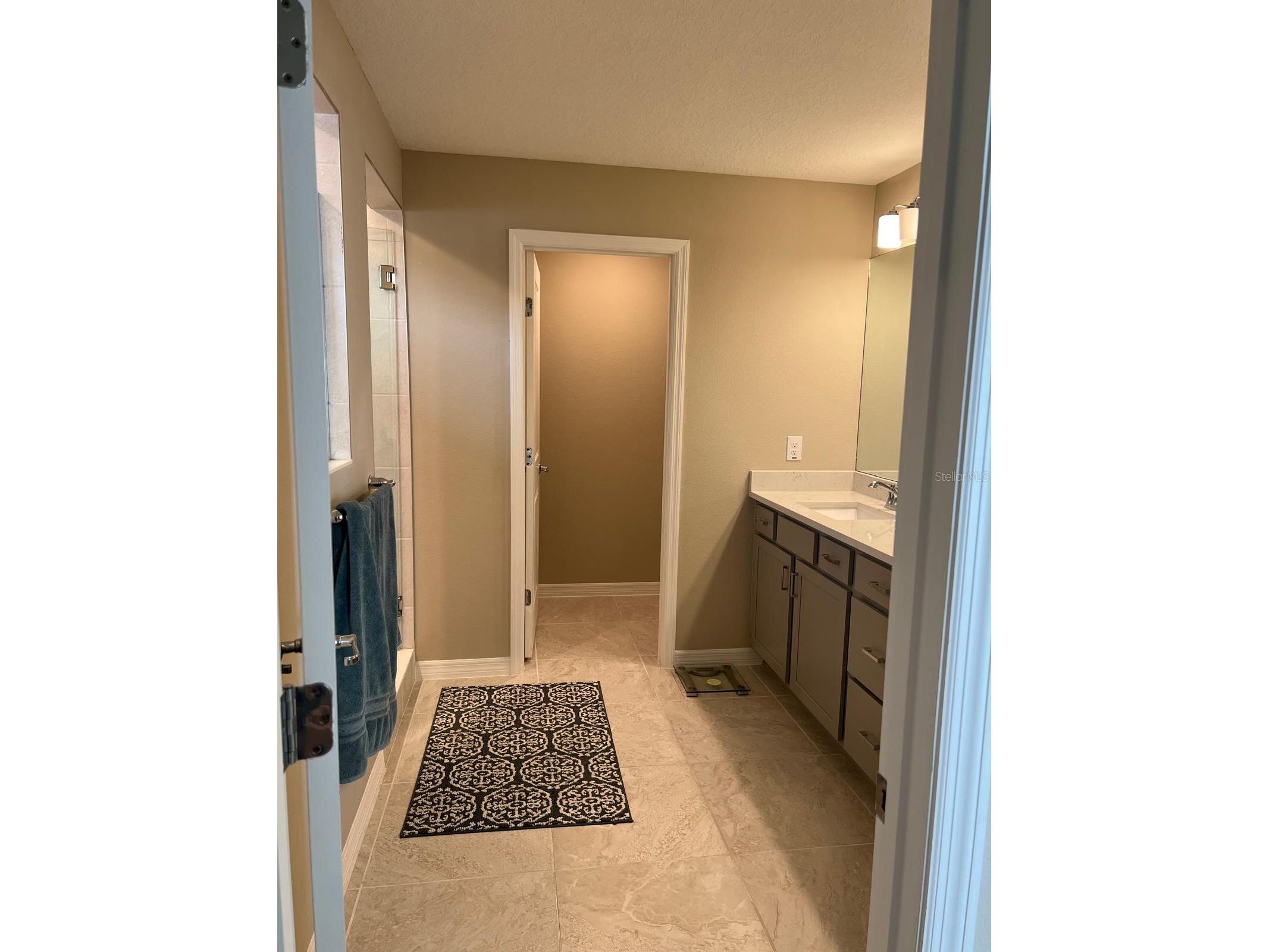3900 Almond Brook Boulevard Land O Lakes FL 34638 TB8486439 image20