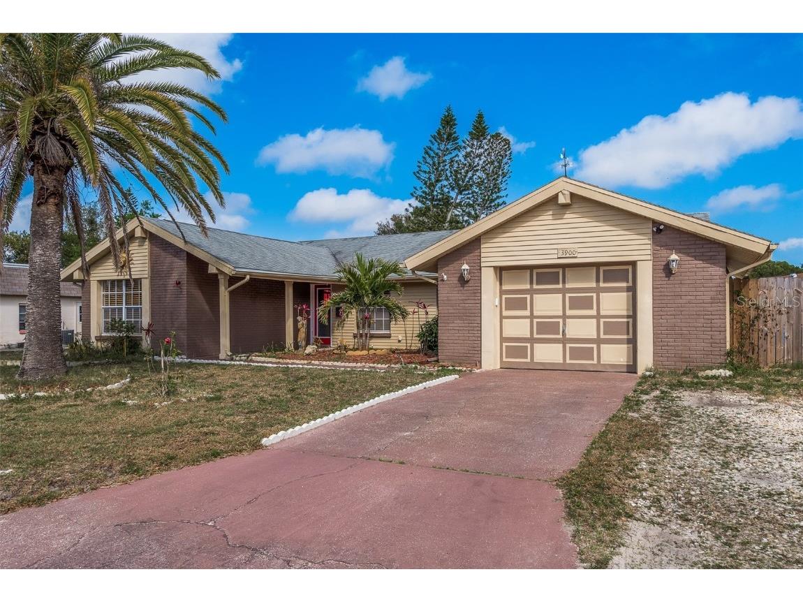 3900 Berwick Drive New Port Richey FL 34652 U8193849 image1