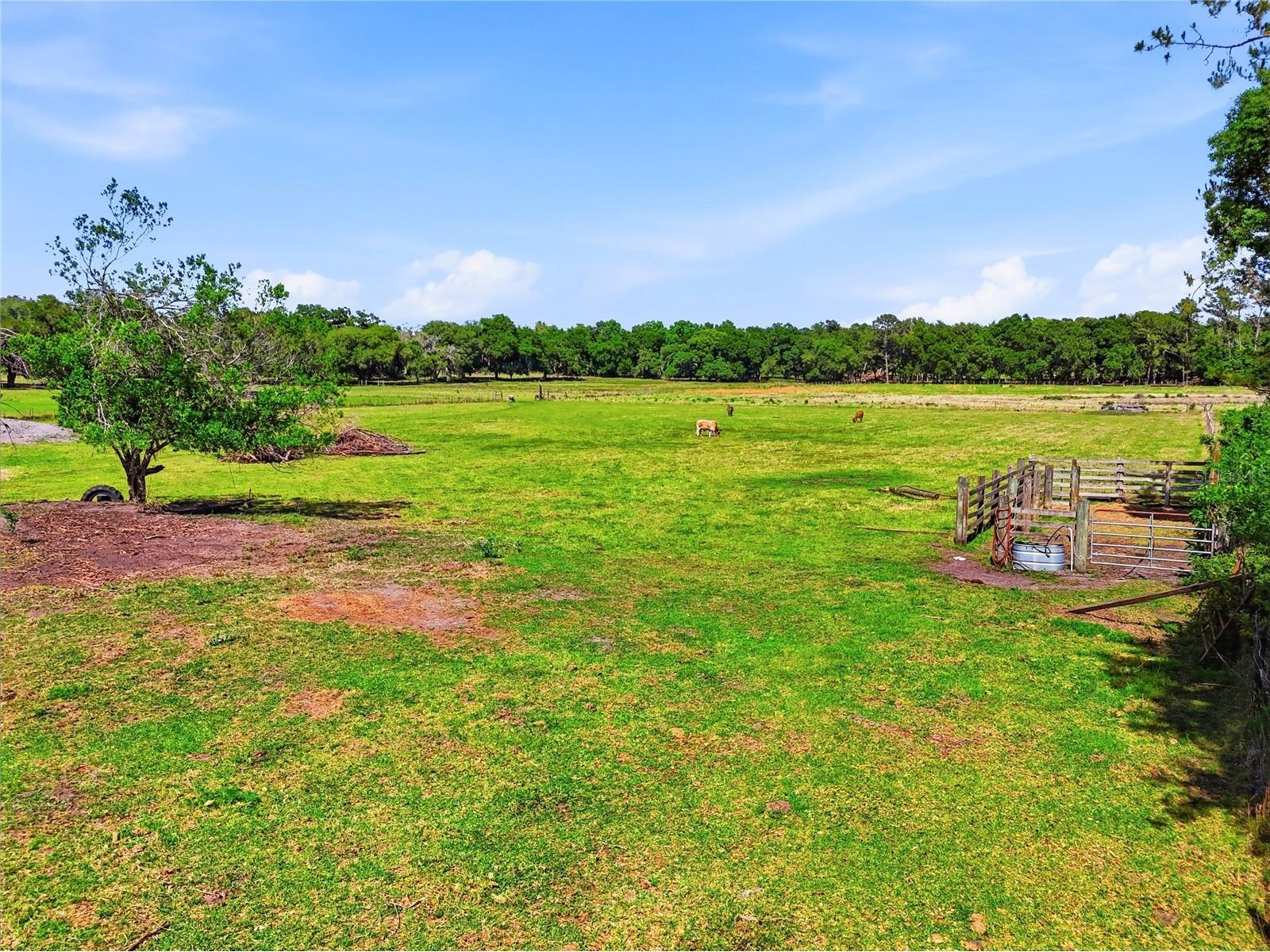 39000 Sparkman Road Dade City FL 33525 L4961523 image42