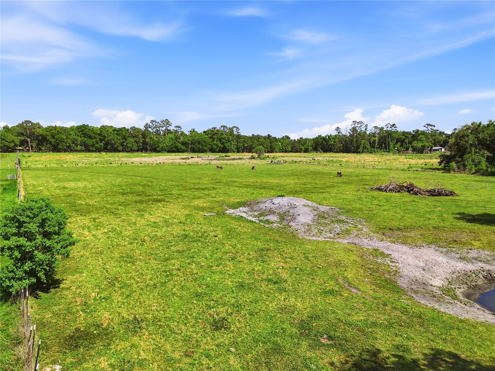 39000 Sparkman Road Dade City FL 33525 L4961523 image43