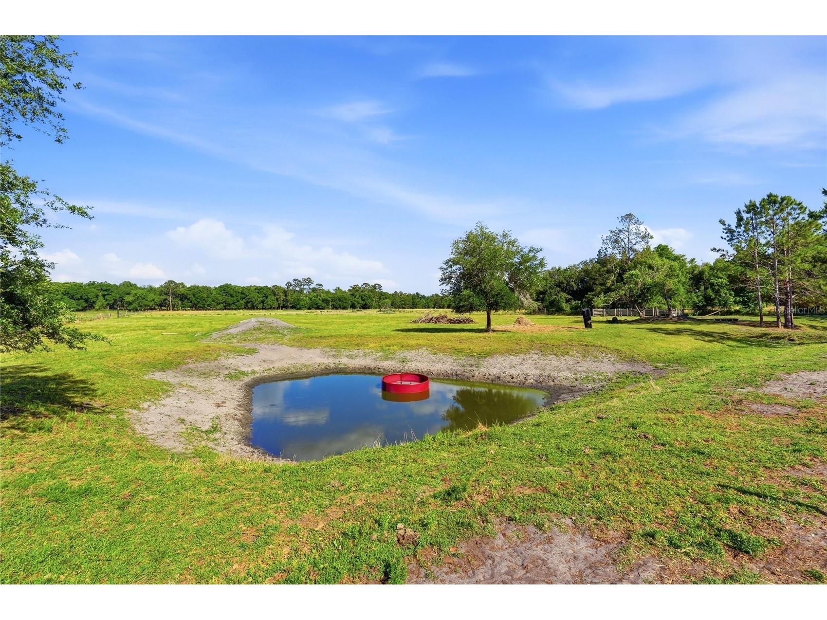 39000 Sparkman Road Dade City FL 33525 L4961523 image49