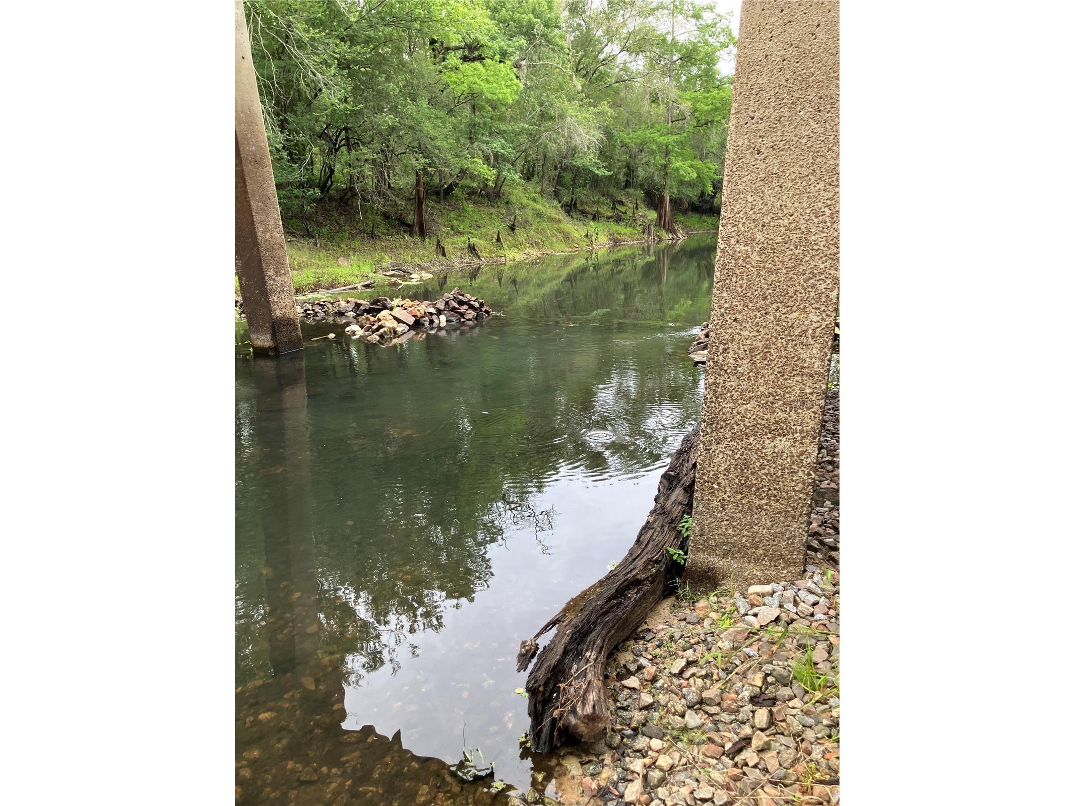 39001 39005 State Road 575 Dade City FL 33523 - WITHLACOOCHEE RIVER TB8516003 image31