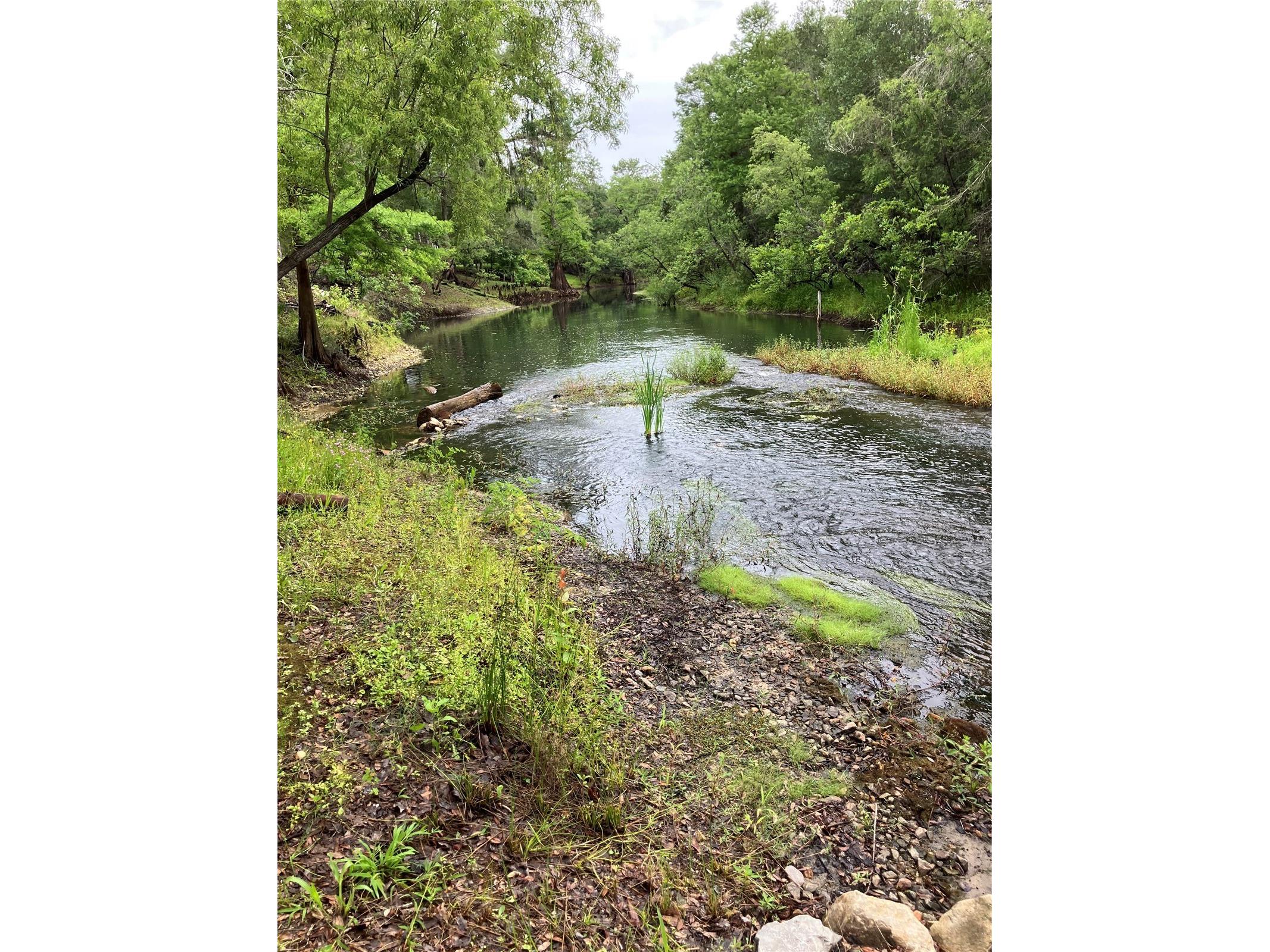 39001 39005 State Road 575 Dade City FL 33523 - WITHLACOOCHEE RIVER TB8516003 image32
