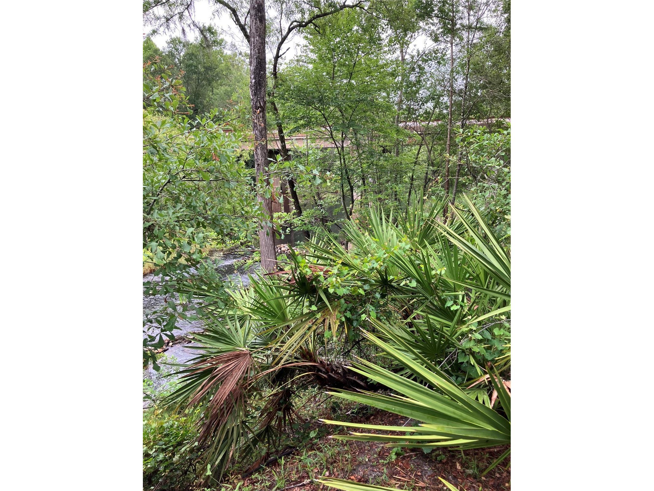 39001 39005 State Road 575 Dade City FL 33523 - WITHLACOOCHEE RIVER TB8516003 image35
