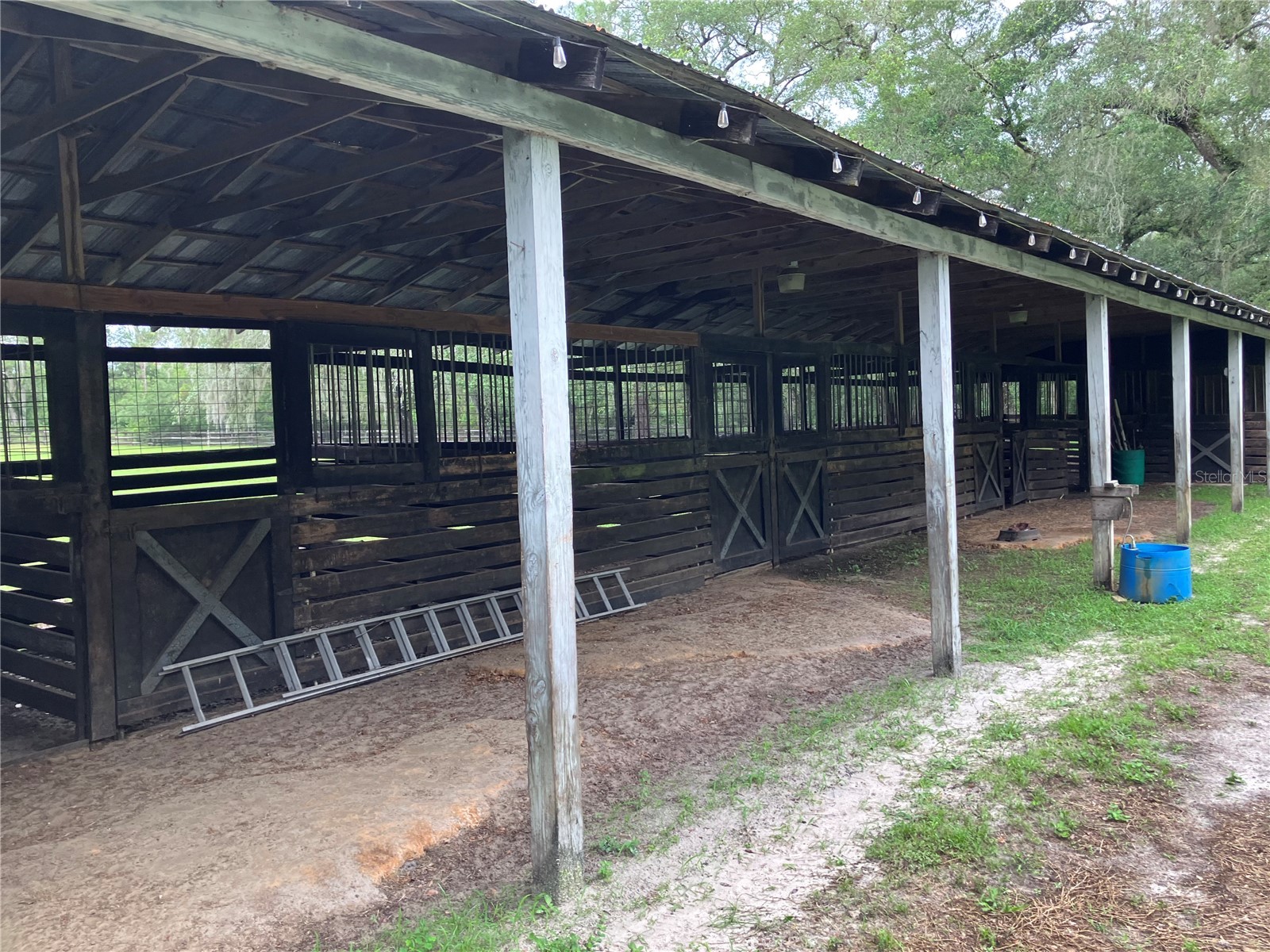 39001 39005 State Road 575 Dade City FL 33523 - WITHLACOOCHEE RIVER TB8516003 image40
