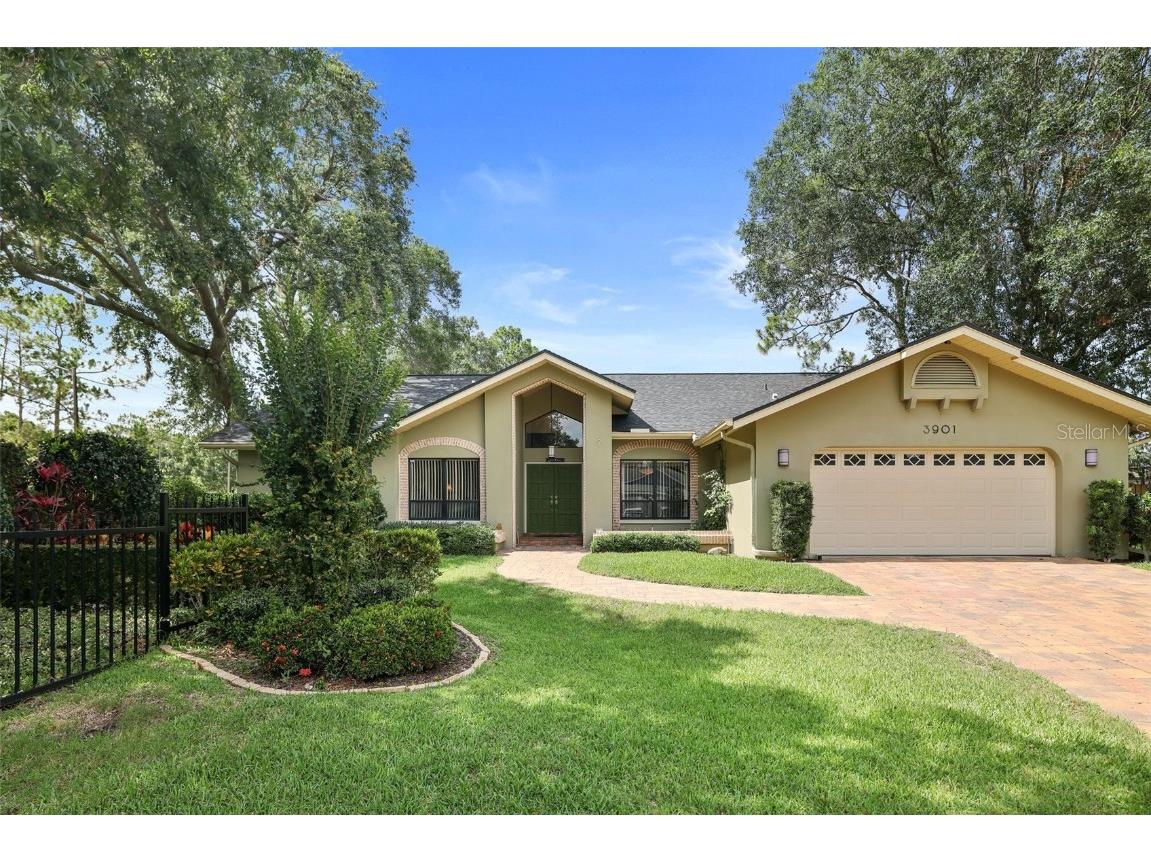 3901 Belmoor Drive Palm Harbor FL 34685 U8203357 image1
