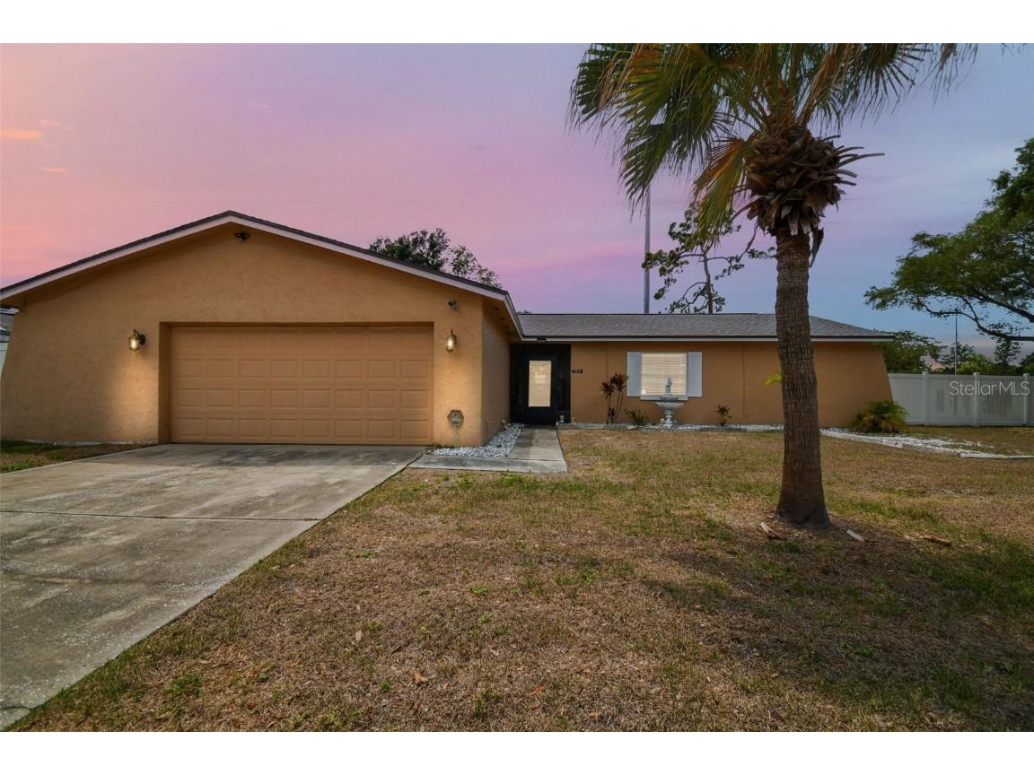 3901 Briarlake Drive Valrico FL 33596 T3446375 image1