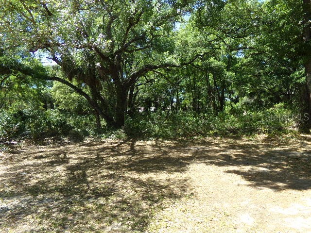 3901 Church Arbor Avenue #B6 Tampa FL 33614 TB8493652 image19