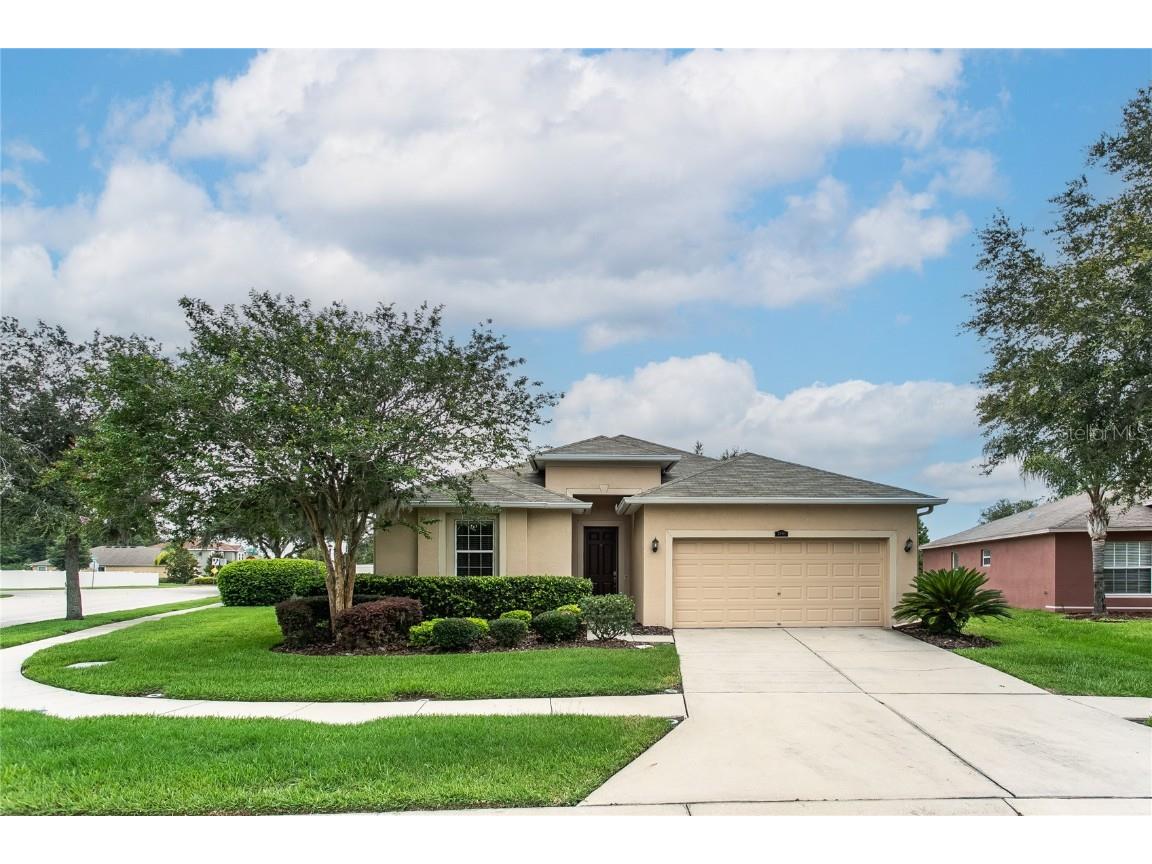 3901 Constantine Loop Wesley Chapel FL 33543 T3454048 image1