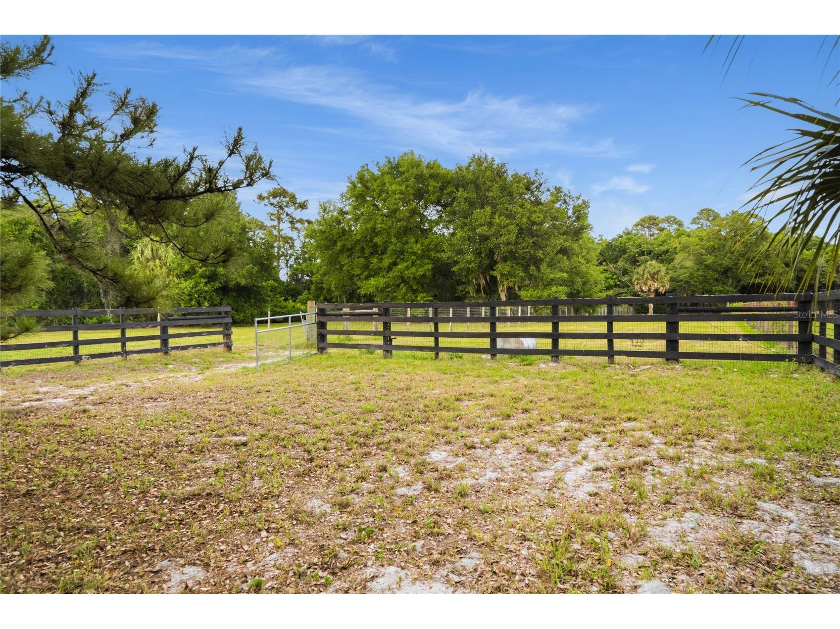 3901 N Apopka Vineland Road Orlando FL 32818 O6406988 image41