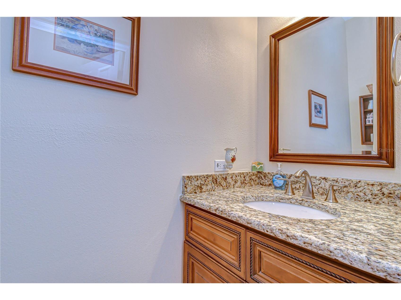 3901 Northridge Drive Valrico FL 33596 TB8478648 image17