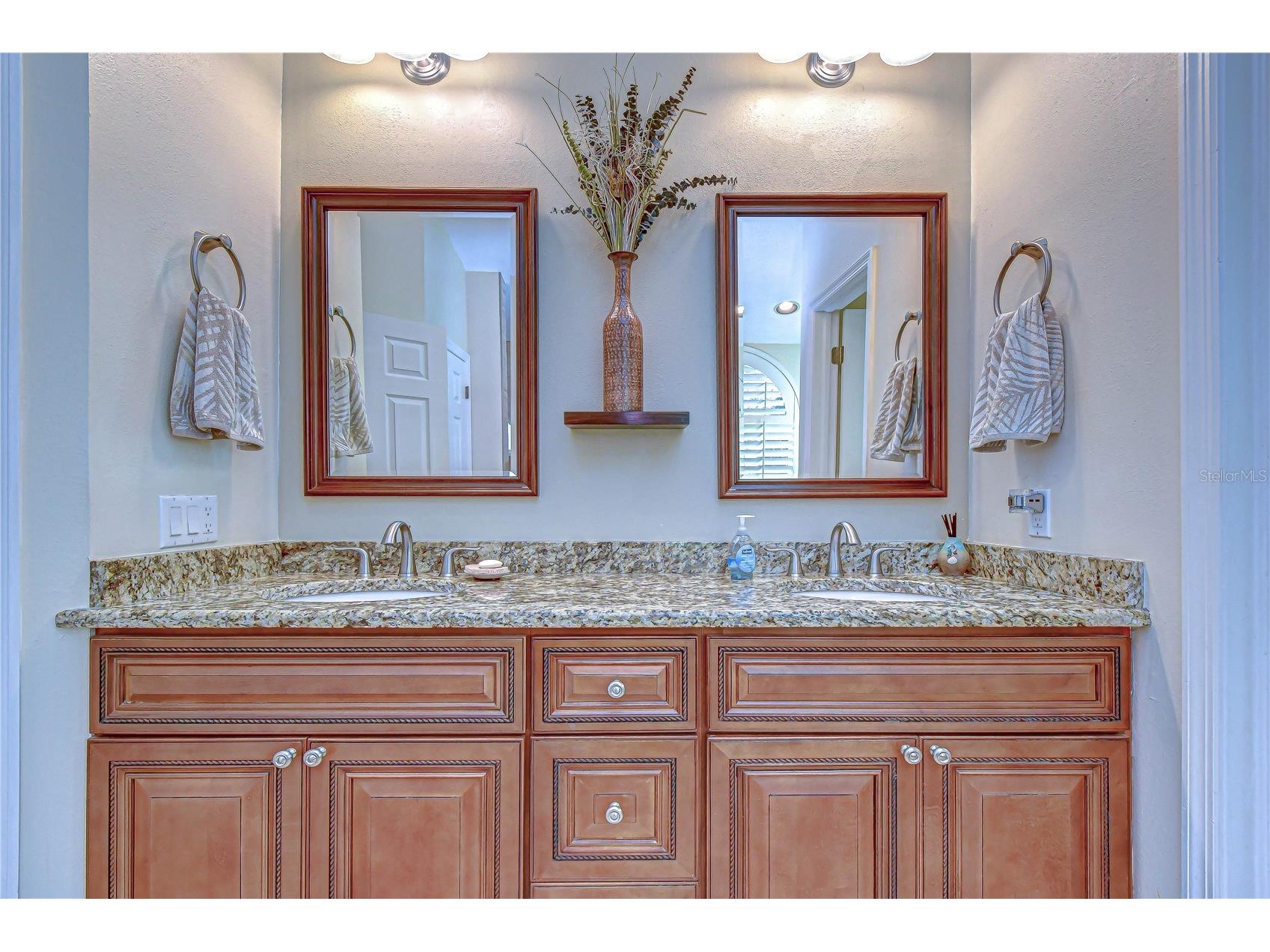 3901 Northridge Drive Valrico FL 33596 TB8478648 image20