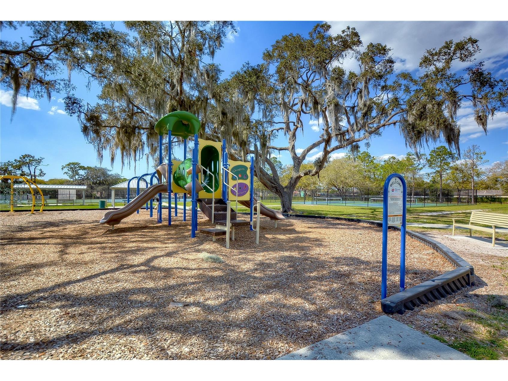 3901 Northridge Drive Valrico FL 33596 TB8478648 image39