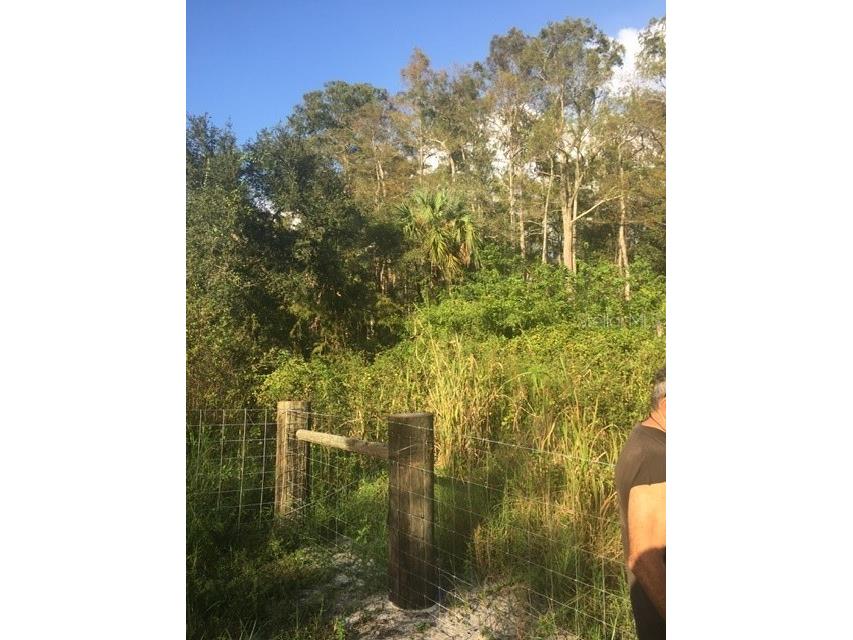 3901 Packinghouse Road Alva FL 33920 W7823843 image1