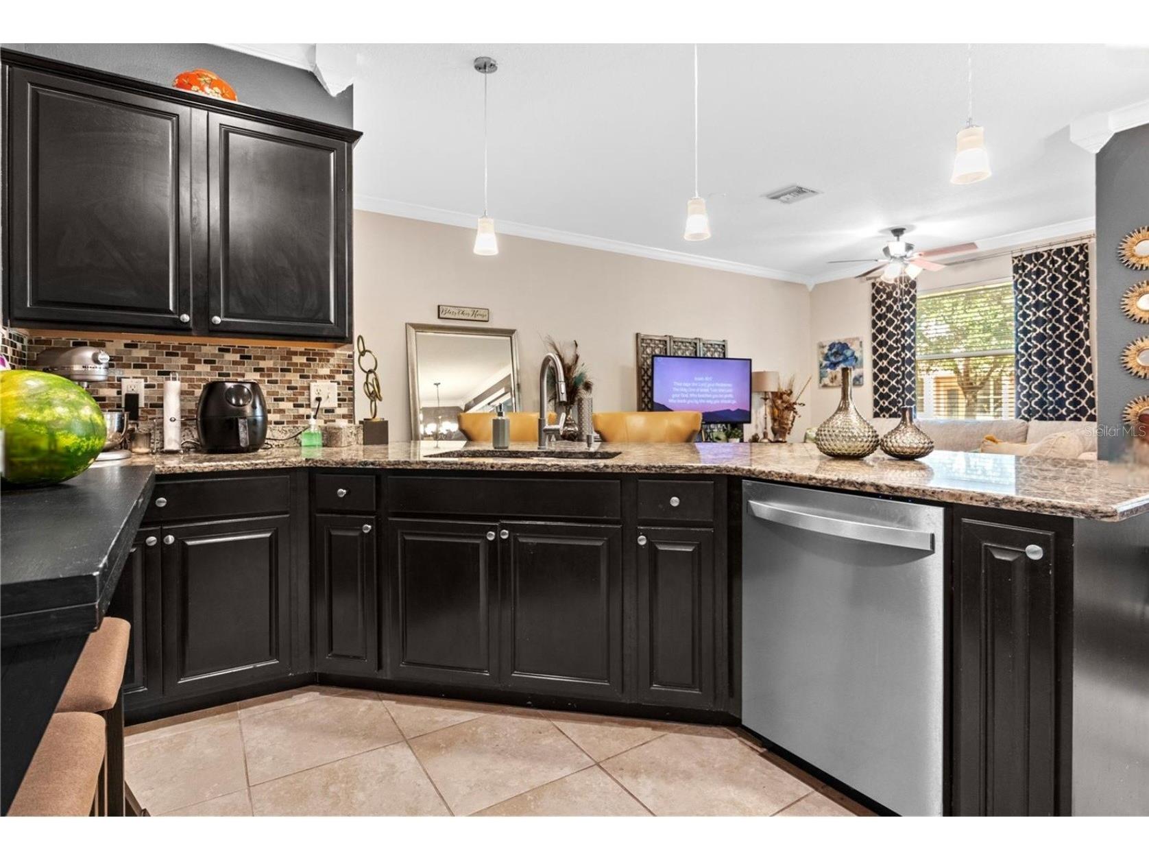 3901 Silverlake Way Wesley Chapel FL 33544 TB8520129 image18