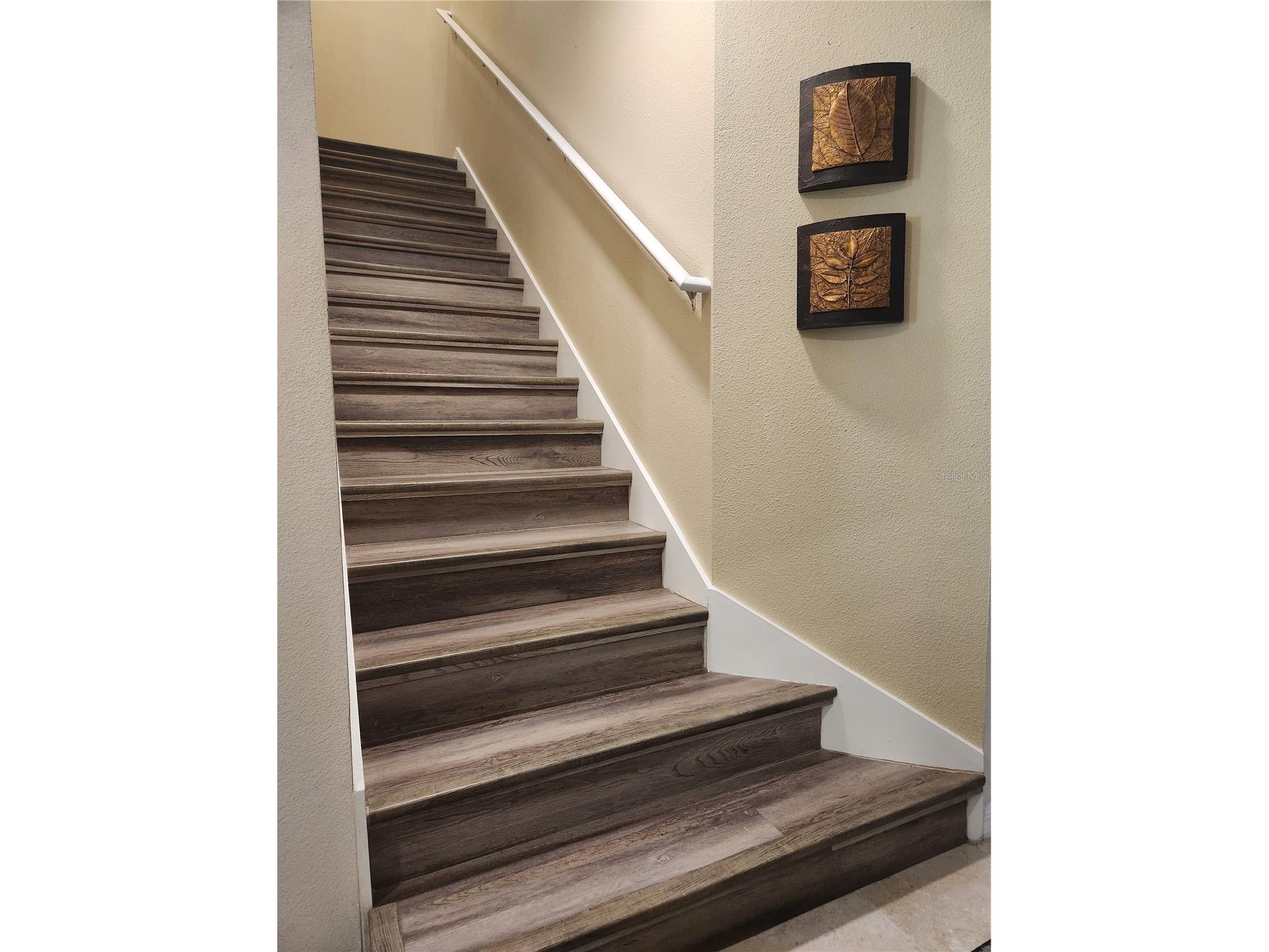 3901 Silverlake Way Wesley Chapel FL 33544 TB8520129 image22