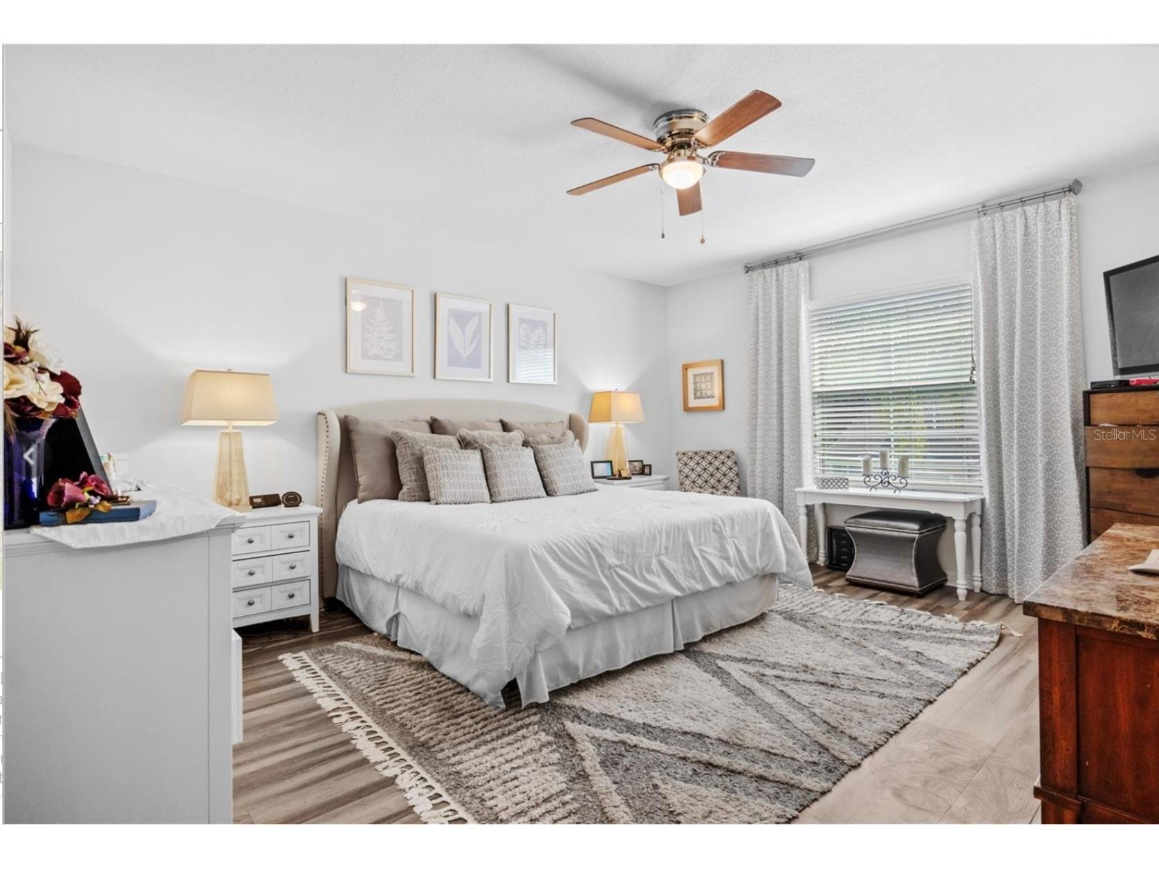 3901 Silverlake Way Wesley Chapel FL 33544 TB8520129 image32