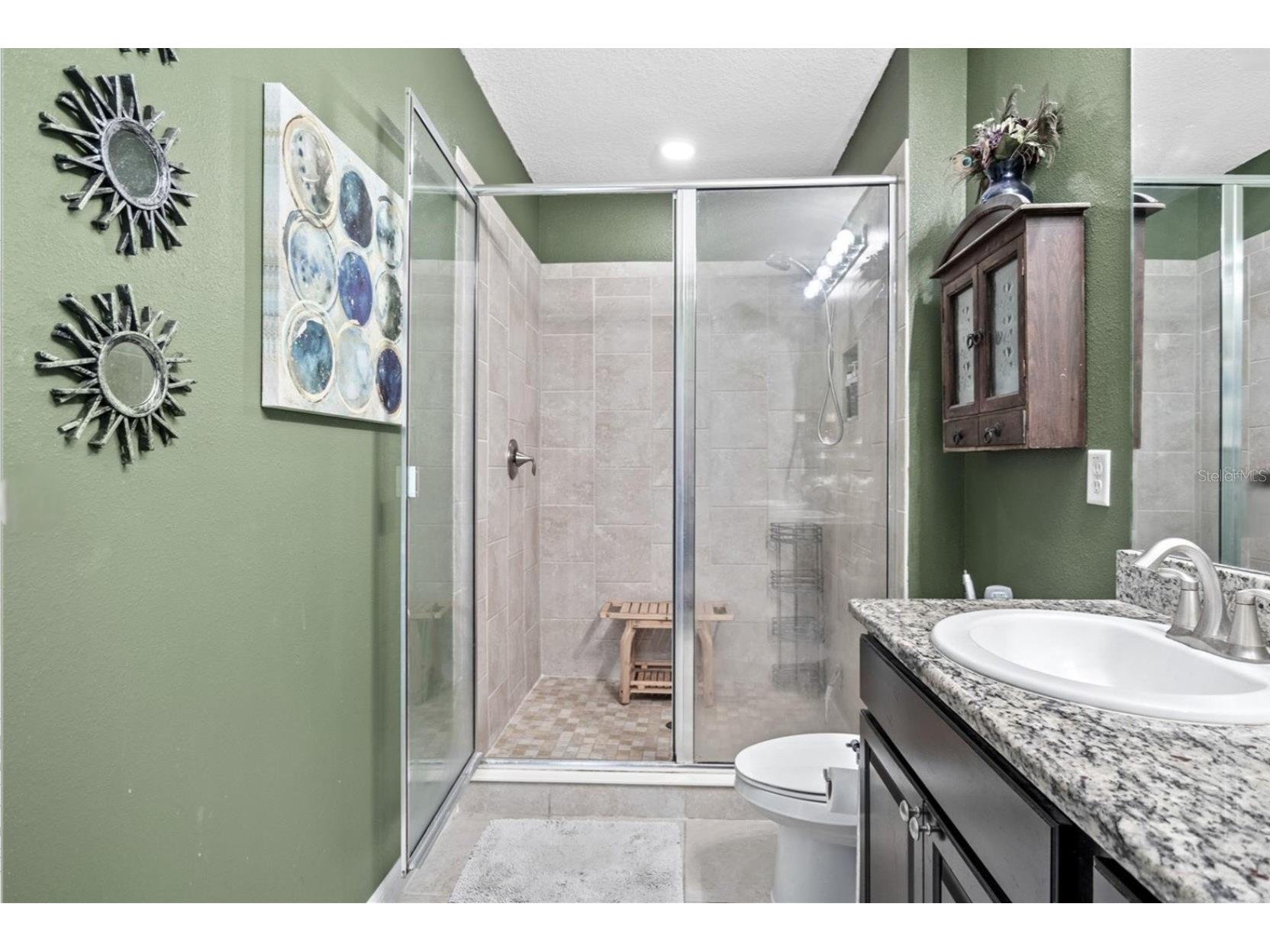 3901 Silverlake Way Wesley Chapel FL 33544 TB8520129 image36
