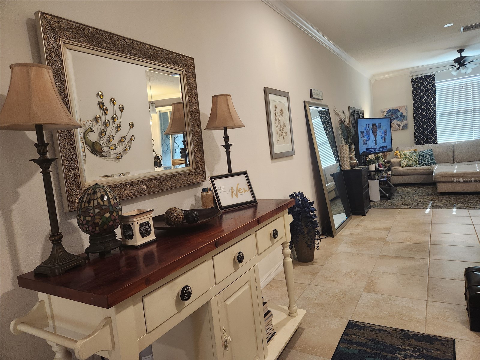 3901 Silverlake Way Wesley Chapel FL 33544 TB8520129 image4