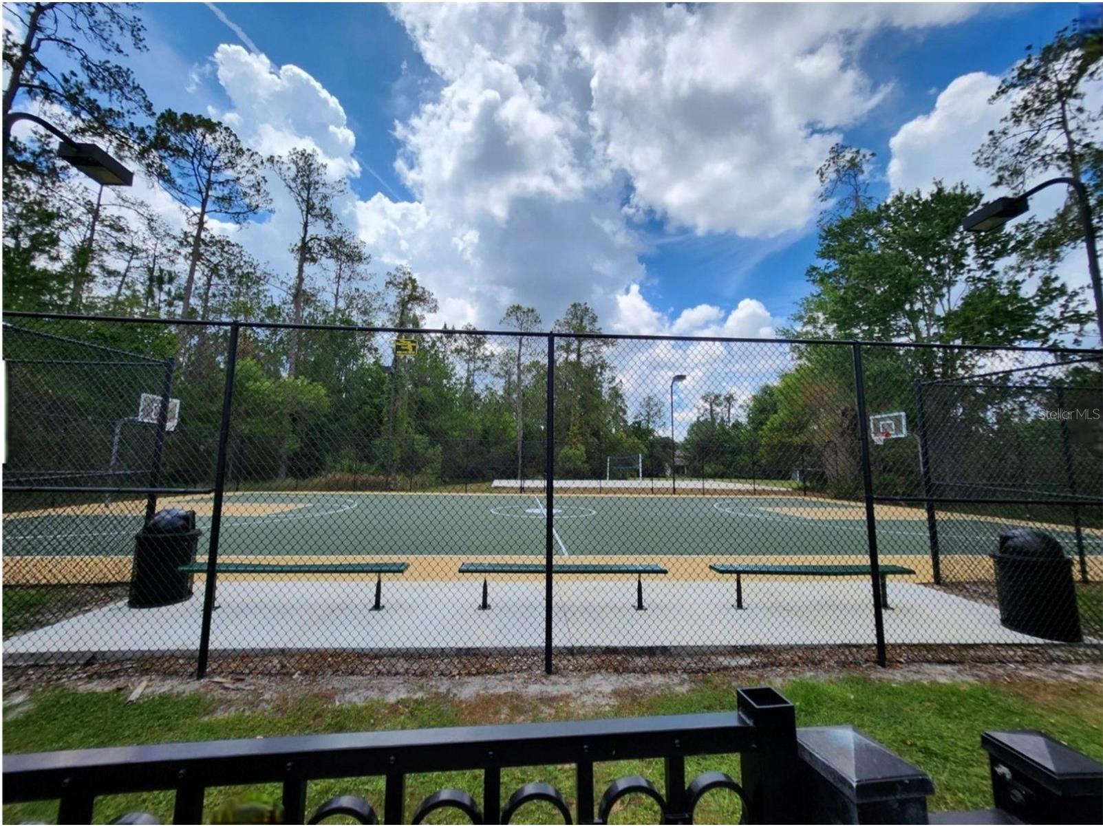 3901 Silverlake Way Wesley Chapel FL 33544 TB8520129 image54