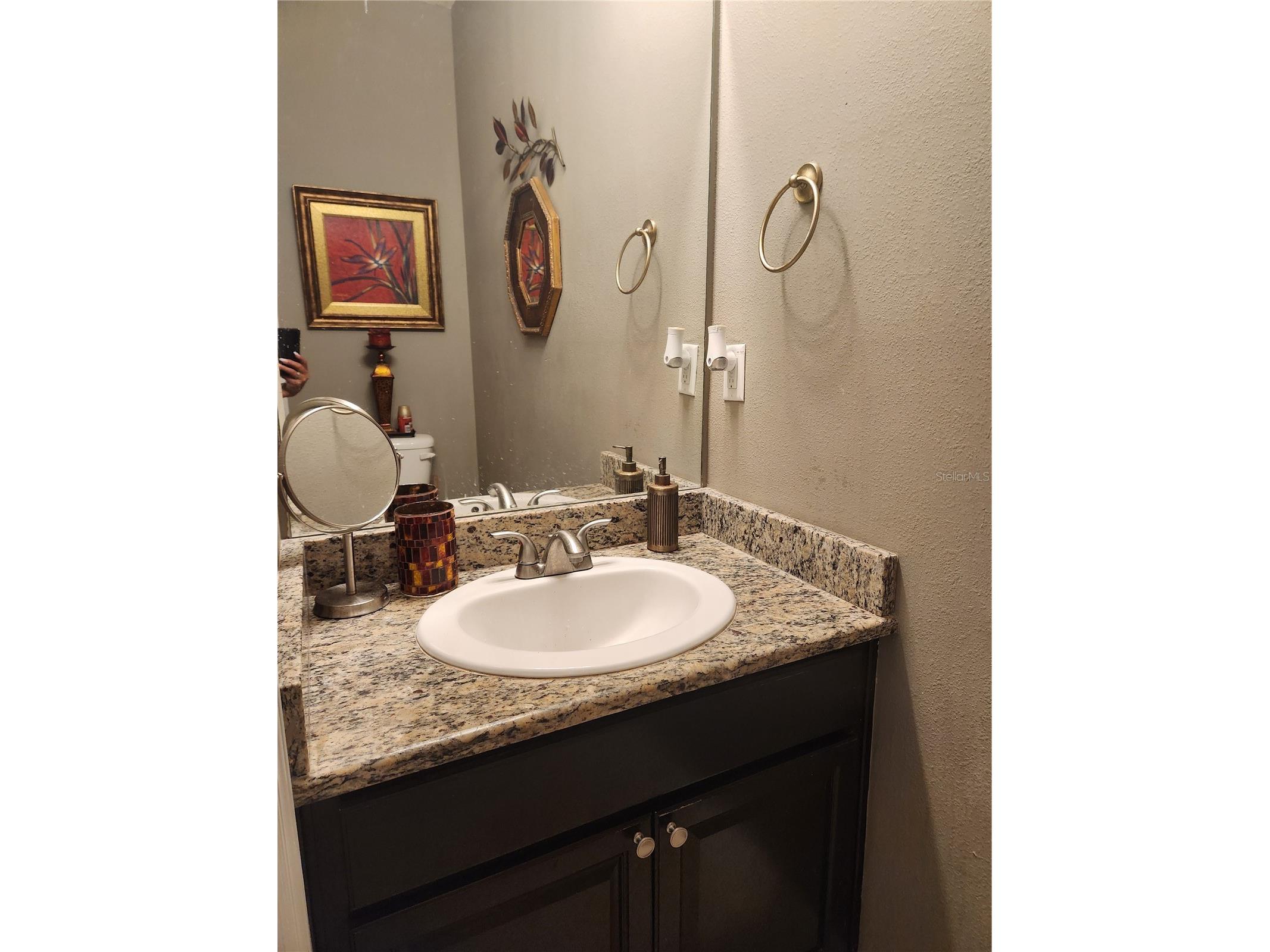3901 Silverlake Way Wesley Chapel FL 33544 TB8520129 image6