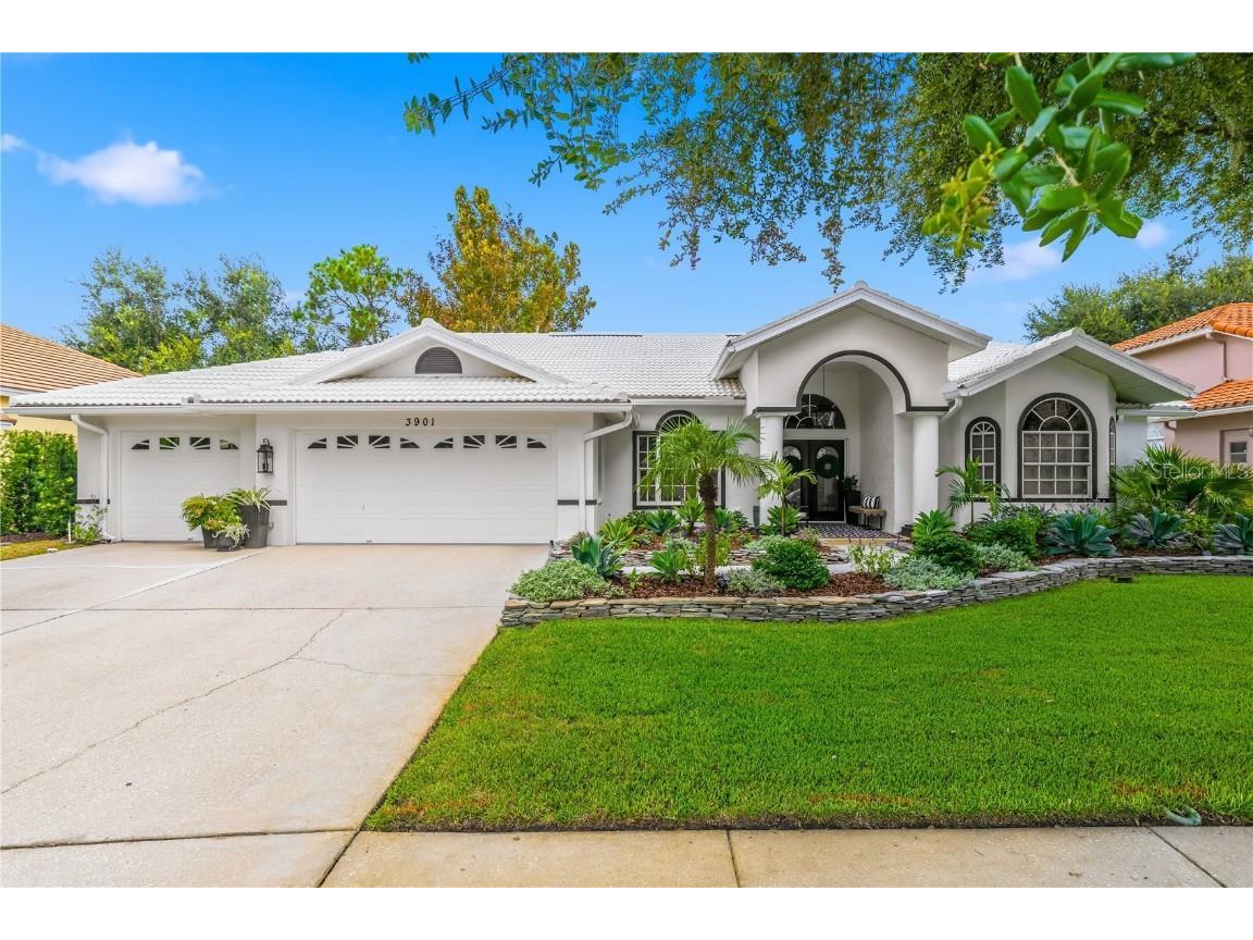 3901 Tarian Court Palm Harbor FL 34684 TB8423566 image1