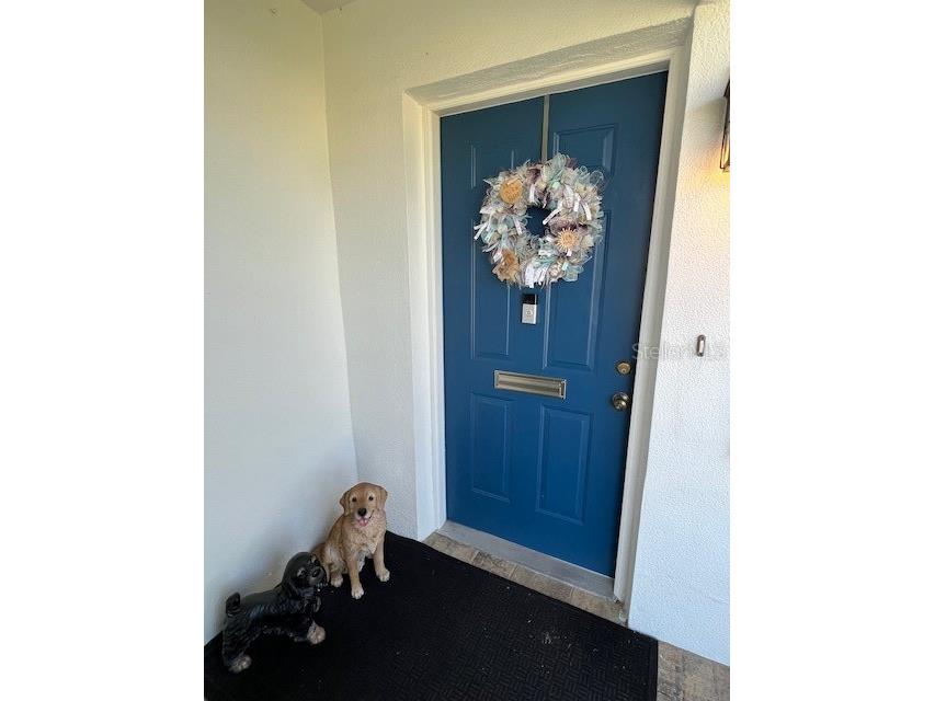 3902 97th Ave N 3902 97th Ave N Pinellas Park FL 33782 TB8440925 image19