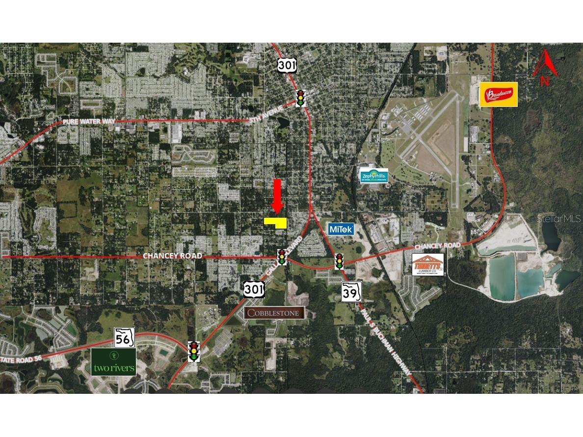 3902 Autumn Palm Drive Zephyrhills FL 33541 TB8481267 image3