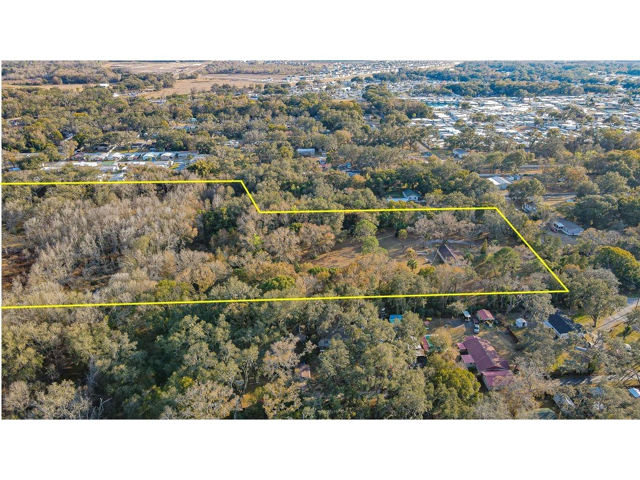 3902 Autumn Palm Drive Zephyrhills FL 33541 TB8481267 image4