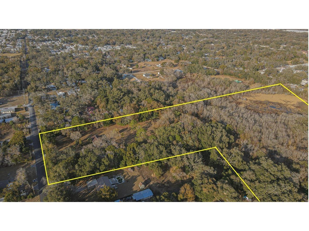 3902 Autumn Palm Drive Zephyrhills FL 33541 TB8481267 image6
