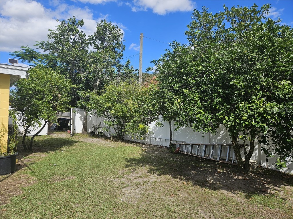 3902 Castell Drive Orlando FL 32810 O6355444 image9