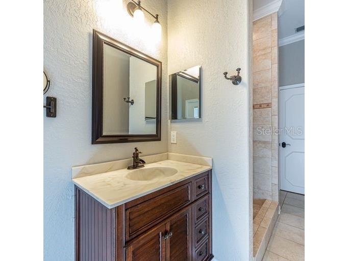 3902 Hidden Spring Place Valrico FL 33596 TB8494608 image10