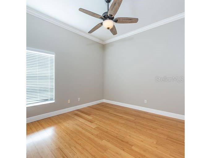 3902 Hidden Spring Place Valrico FL 33596 TB8494608 image11