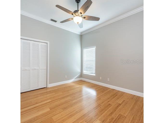 3902 Hidden Spring Place Valrico FL 33596 TB8494608 image12