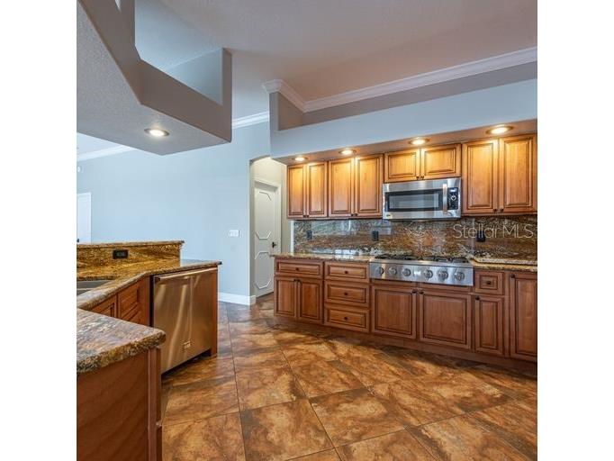 3902 Hidden Spring Place Valrico FL 33596 TB8494608 image16