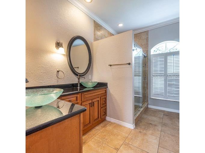 3902 Hidden Spring Place Valrico FL 33596 TB8494608 image18