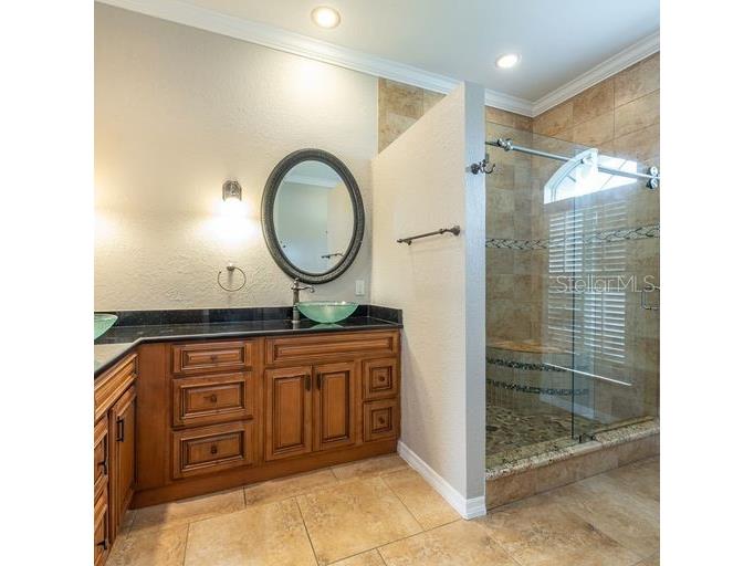 3902 Hidden Spring Place Valrico FL 33596 TB8494608 image19