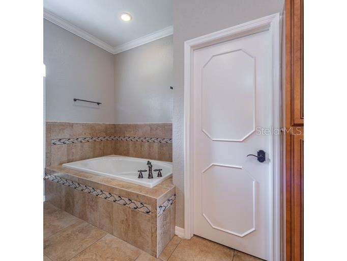 3902 Hidden Spring Place Valrico FL 33596 TB8494608 image20