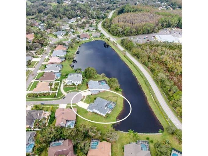 3902 Hidden Spring Place Valrico FL 33596 TB8494608 image31