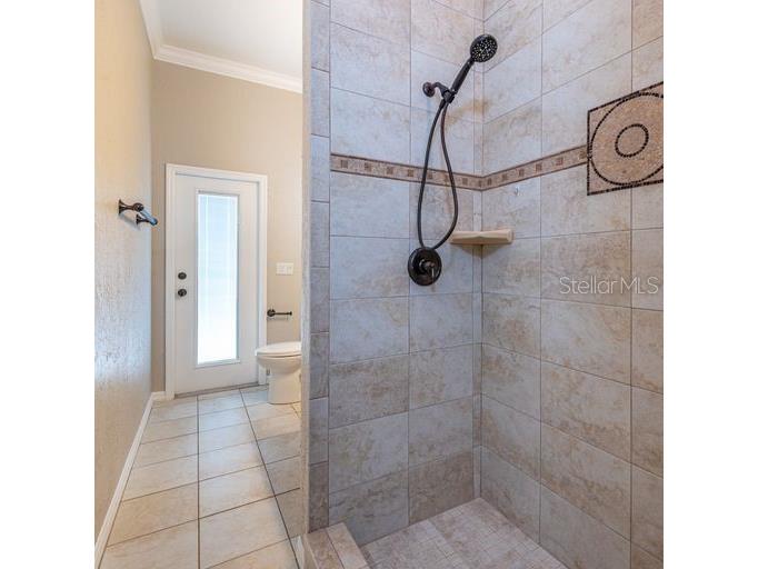 3902 Hidden Spring Place Valrico FL 33596 TB8494608 image9