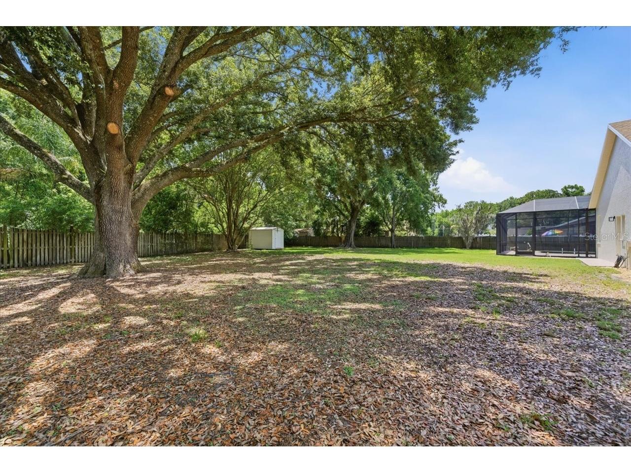 3902 Meadowlark Court Land O Lakes FL 34639 TB8506986 image3