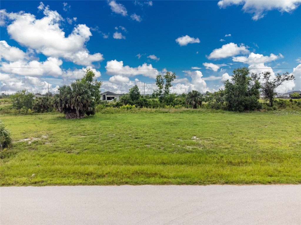 3902 NW 41st Lane Cape Coral FL 33993 D6132815 image1